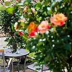 Zore Glavinic 3* Dubrovnik