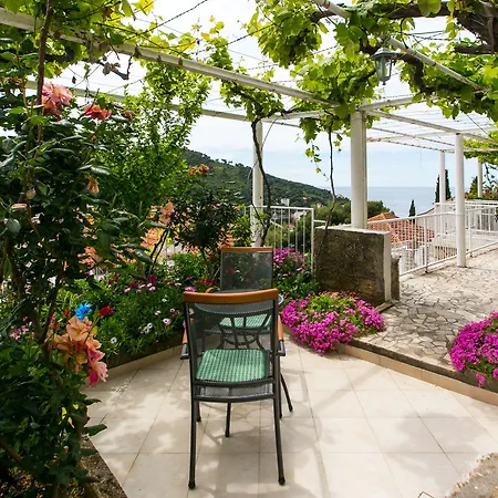 Πανσιόν Zore Glavinic 3*