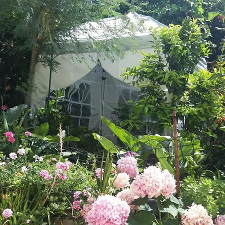 Affittacamere Zore Glavinic Ragusa