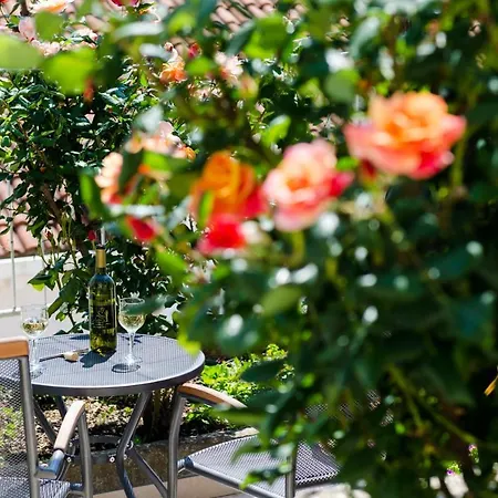 Zore Glavinic 3* Dubrovnik