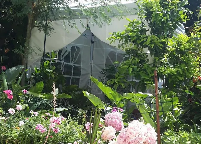 ゲストハウス Zore Glavinic ドゥブロブニク