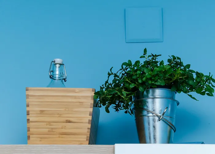 Zore Glavinic ドゥブロブニク