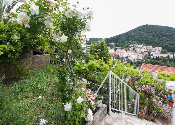 ゲストハウス Zore Glavinic