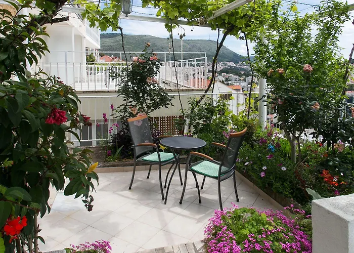 Zore Glavinic 3* ドゥブロブニク