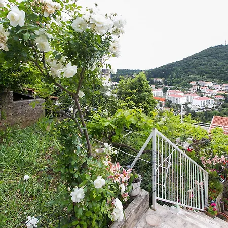 Vendégház Zore Glavinic